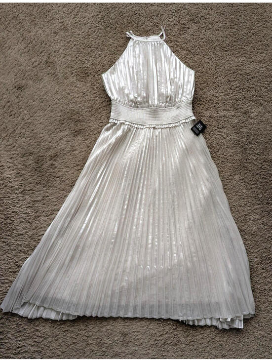 Express Dresses & Skirts - Express Silver Shimmer Halter Pleated Maxi Dress Size Small NWT Metallic
